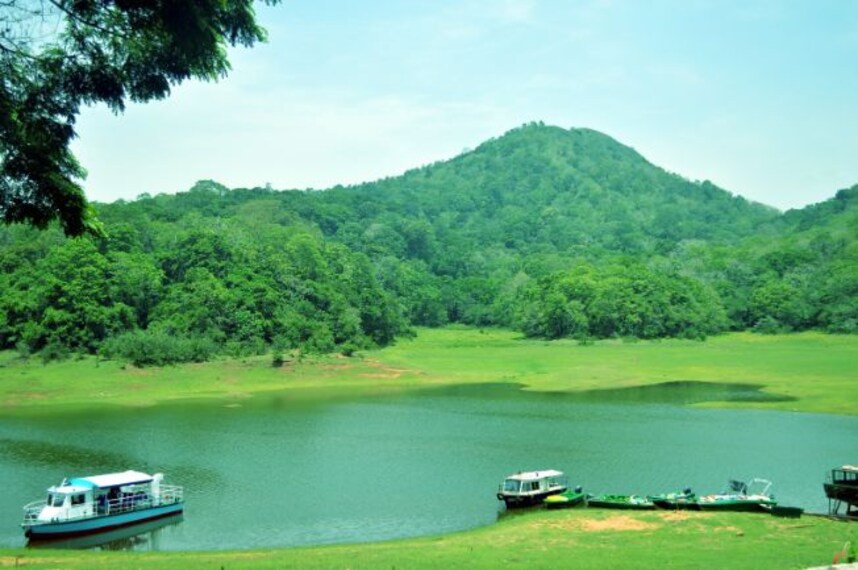 Periyar Lake-1